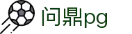 问鼎PG官方网站 - 中国官方入口平台